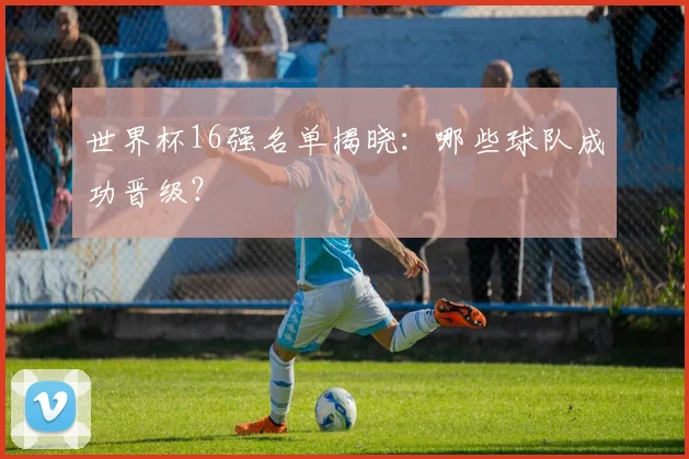 世界杯16强名单揭晓:哪些球队成功晋级?