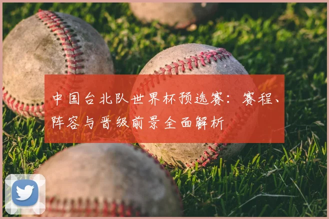 中国台北队世界杯预选赛:赛程、阵容与晋级前景全面解析